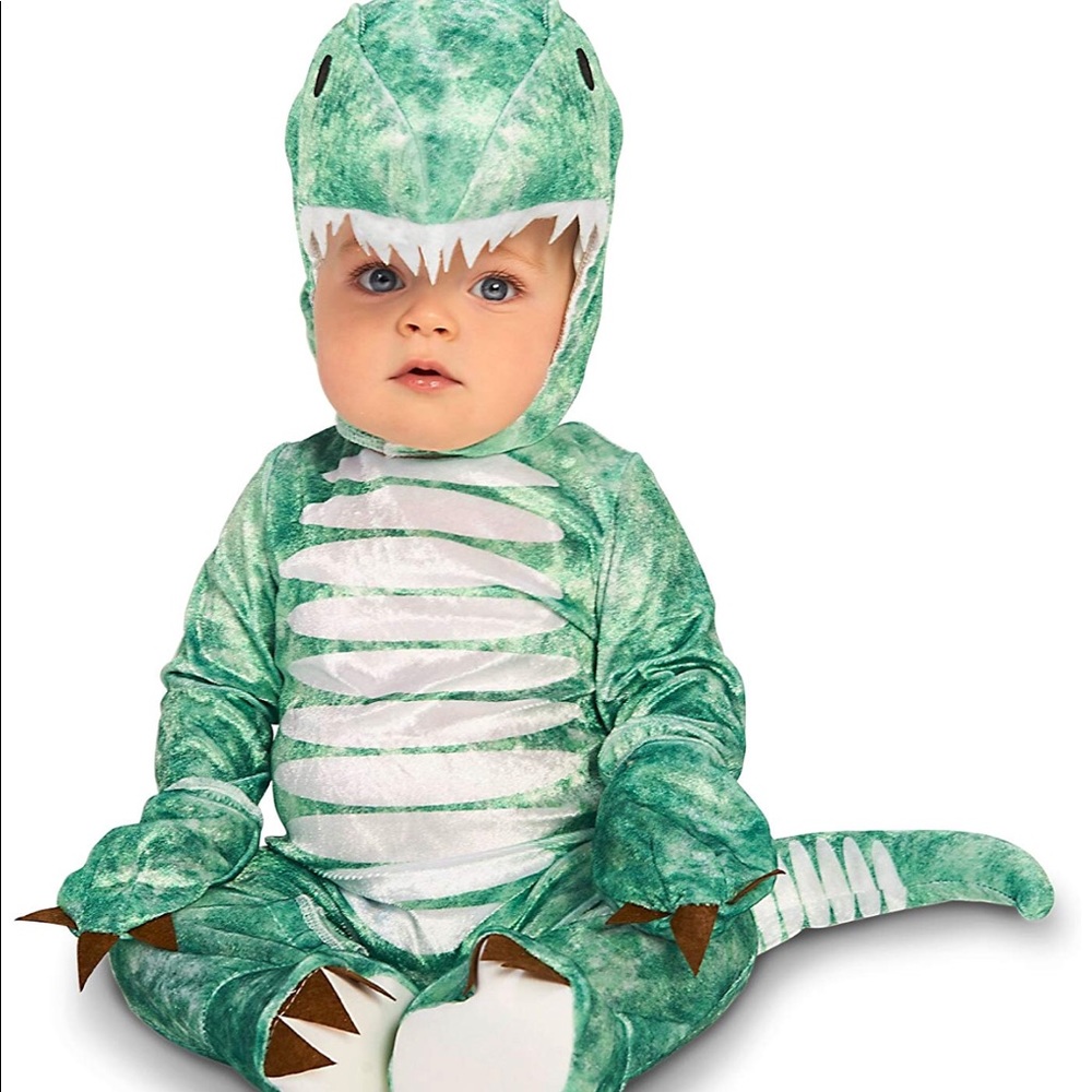 Dinosaur/Jurassic Park Costume (6-12M) worn once